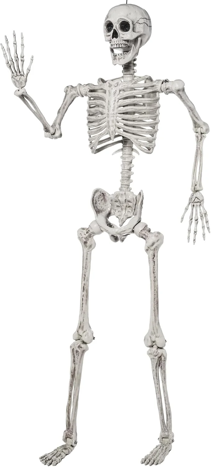 5.6 FT Halloween Posable Life Size Skeleton, Full Body Realistic Bones with Movable Joints, Giant Skeletons Halloween Decorations for Indoor Outdoor - Image 2