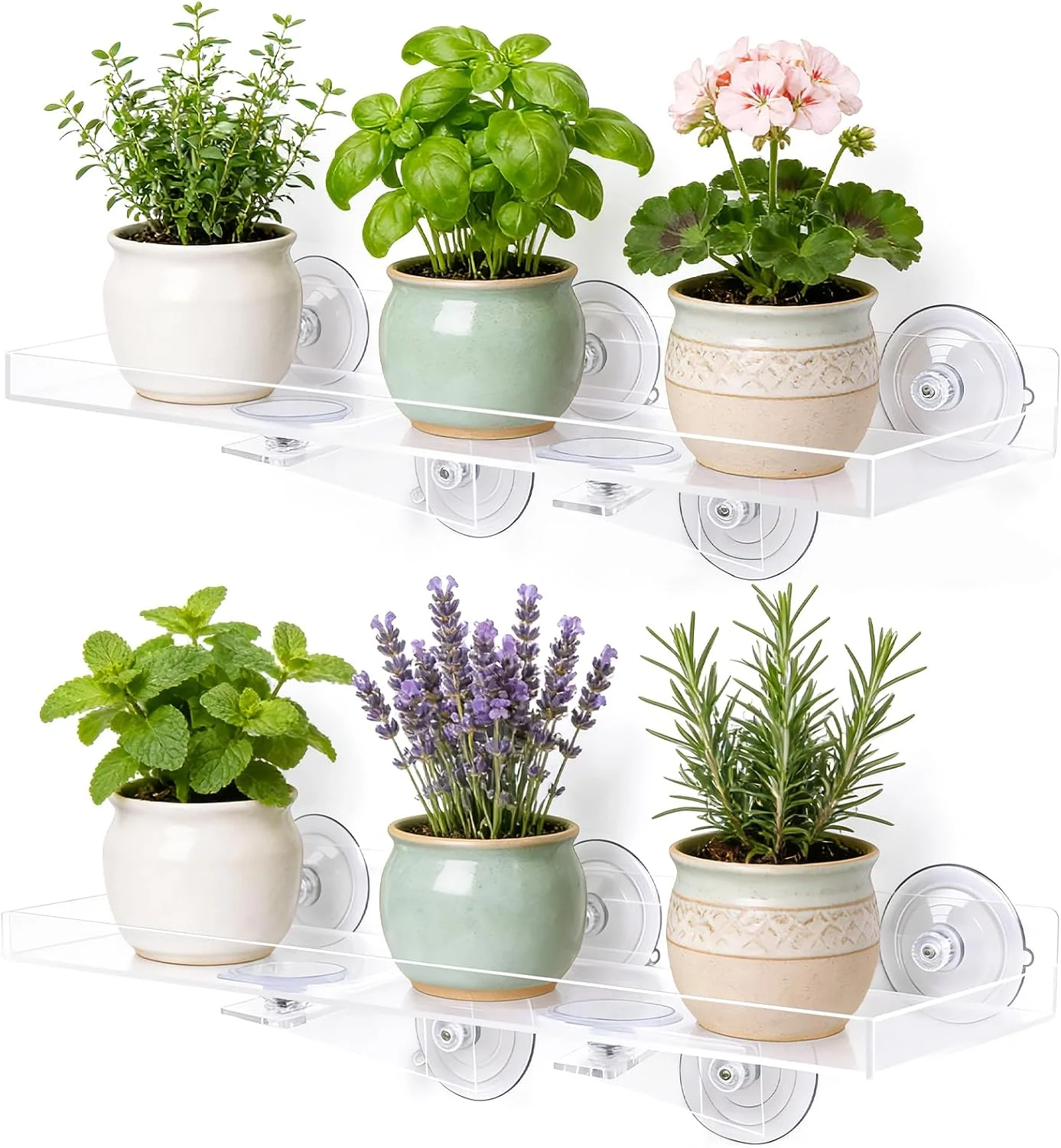Pack Window Plant Shelves, 15.7 x 5.9 Inch Heavy Duty Suction Cup Shelf