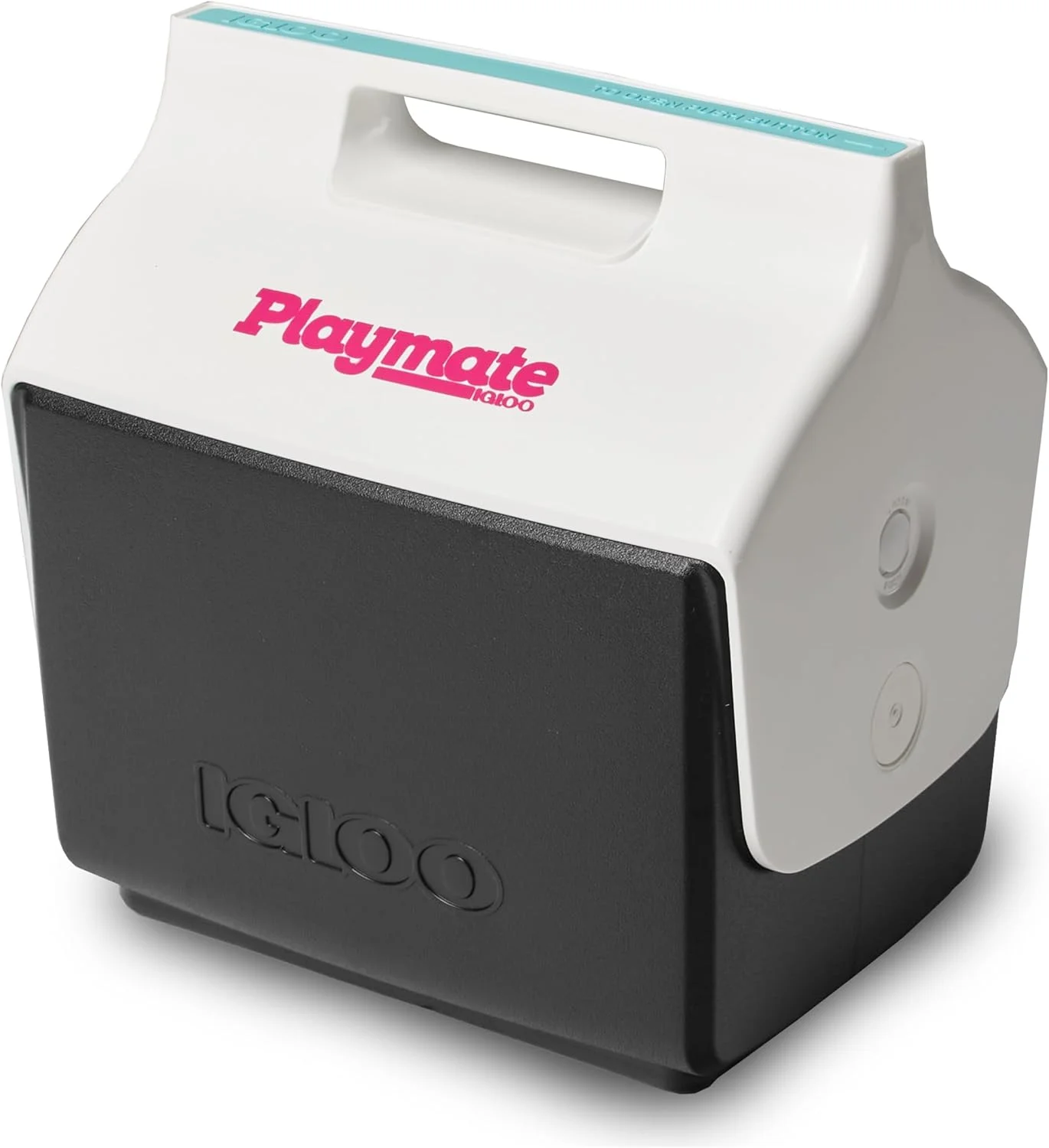 Classic Playmate Coolers - Image 2