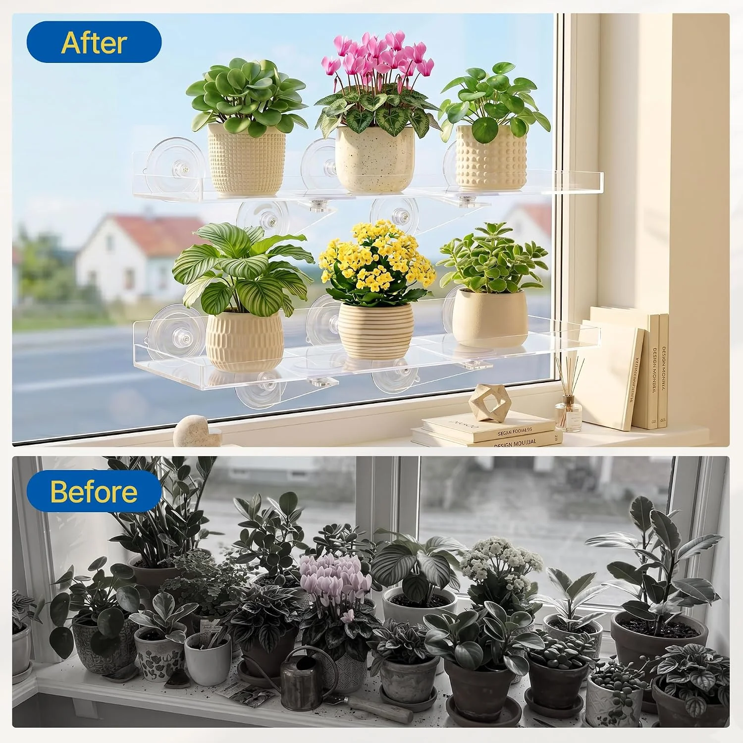 Pack Window Plant Shelves, 15.7 x 5.9 Inch Heavy Duty Suction Cup Shelf - Image 5
