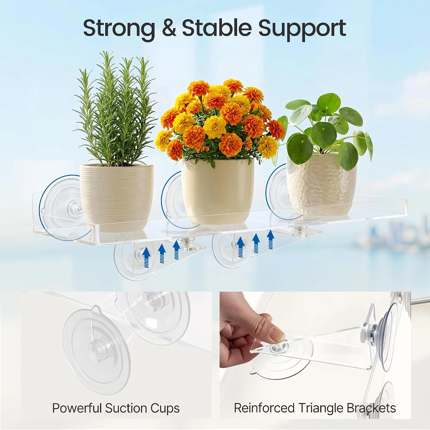 Pack Window Plant Shelves, 15.7 x 5.9 Inch Heavy Duty Suction Cup Shelf - Image 3
